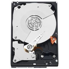 WD Caviar Black 1TB (WD1002FAEX)