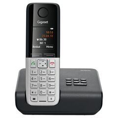 Мобильный телефон Gigaset C300A Silver Black