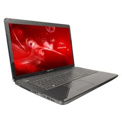 Ноутбук Packard Bell EasyNote LE69KB-23804G50Mnsk (NX.C2DEU.009)