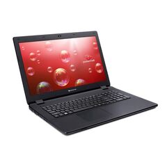 Ноутбук Packard Bell EasyNote LG71BM-C8WN (NX.C3VEU.001)