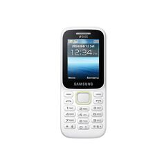 Кнопочный телефон Samsung GURU Music 2 DUOS SM-B310E White