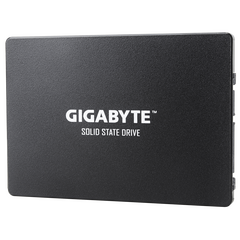 GIGABYTE 120GB (GP-GSTFS31120GNTD)