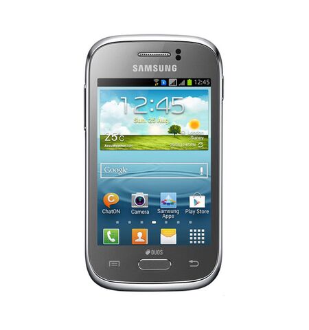 Смартфон Samsung Rex 60 GT-C3312R Silver