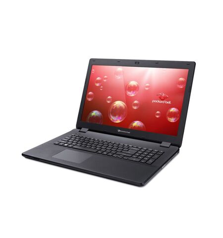 Ноутбук Packard Bell EasyNote LG71BM-C5JV (NX.C3VER.005)