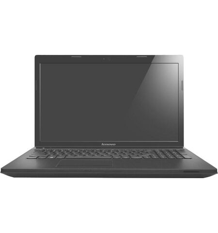 Ноутбук Lenovo G505 (59419659)