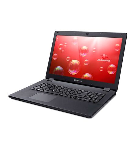 Ноутбук Packard Bell EasyNote LG71BM-P524 (NX.C3WEU.002)