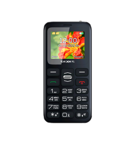 Мобильный телефон teXet TM-B209 (черный)