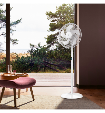 Вентилятор Electrolux EFF-1002i, 6-е