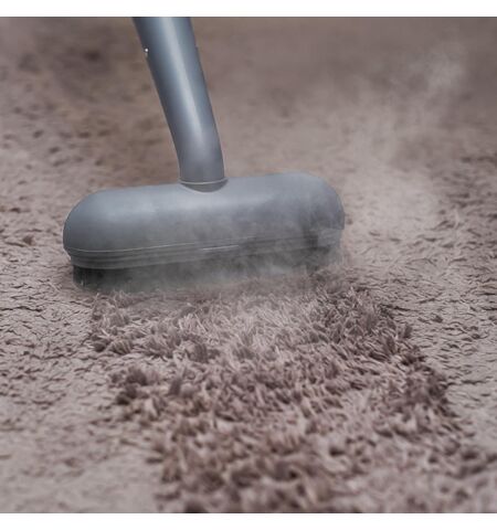 Пароочиститель Bort BDR-3000-RR, 22-е