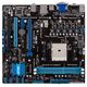 ASUS F2A55
