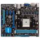 ASUS F2A55-M LK