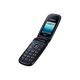 Мобильный телефон Samsung GT-E1272 Noble Black, 3-е